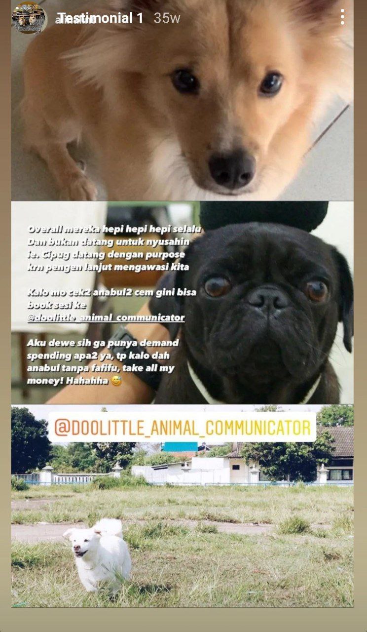 photo_6071229546604115069_y