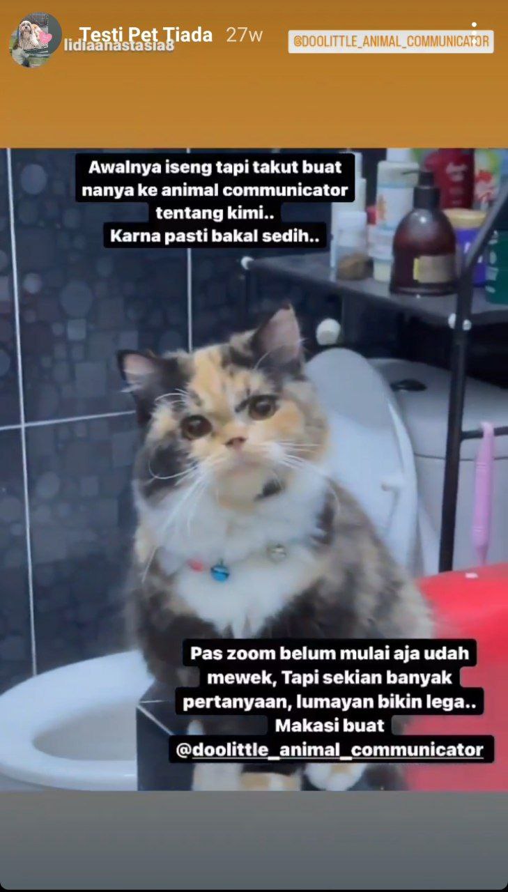 photo_6071229546604115070_y