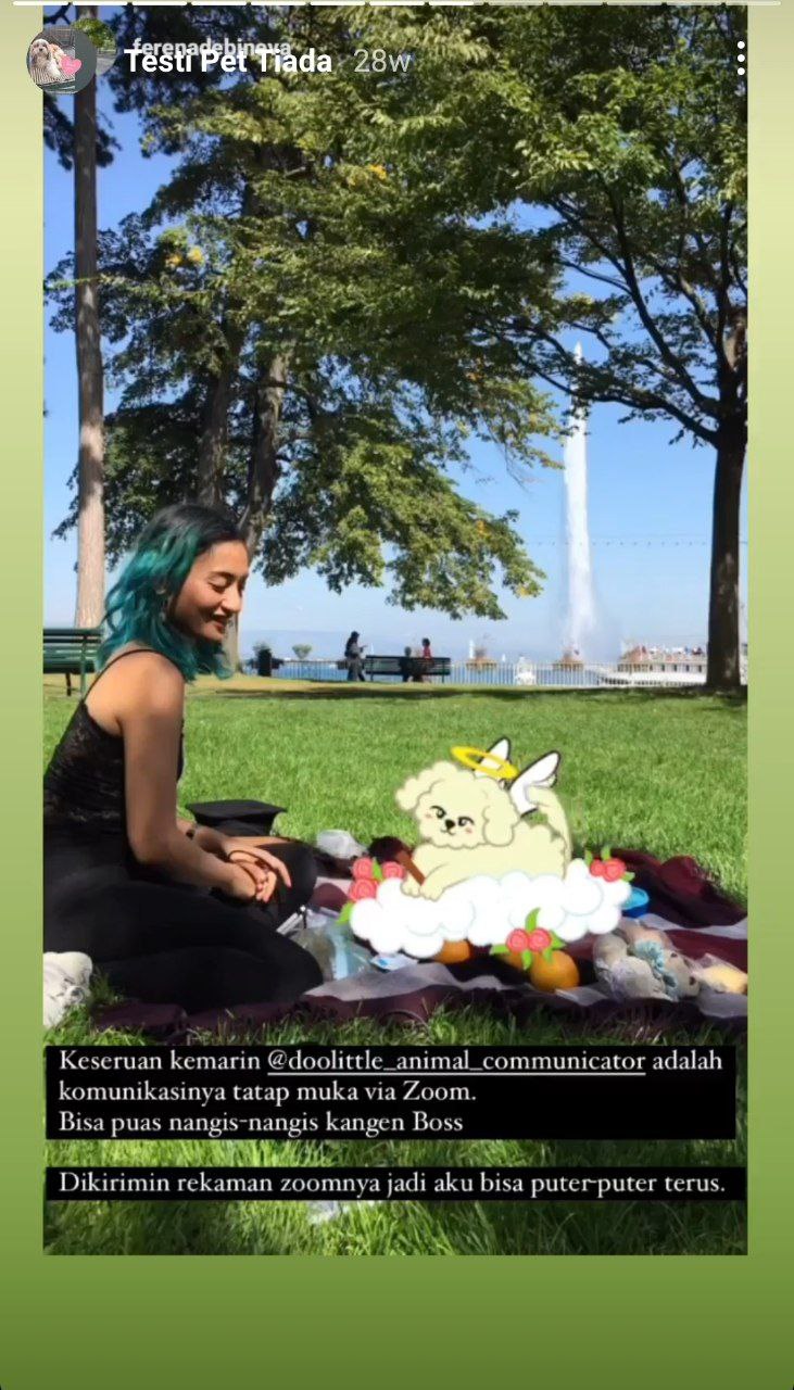 photo_6071229546604115071_y