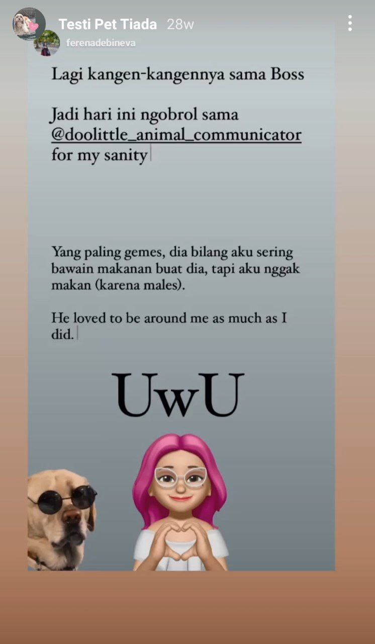 photo_6071229546604115072_y