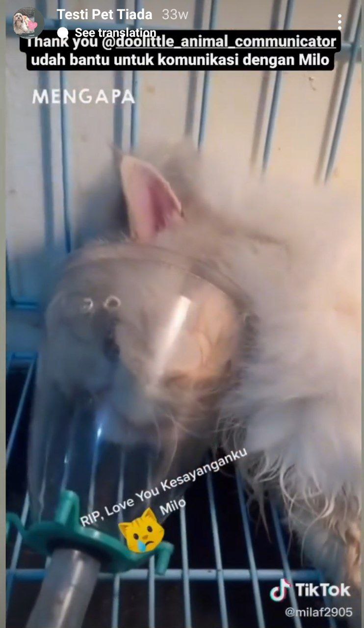 photo_6071229546604115074_y