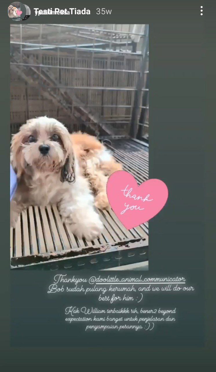 photo_6071229546604115075_y