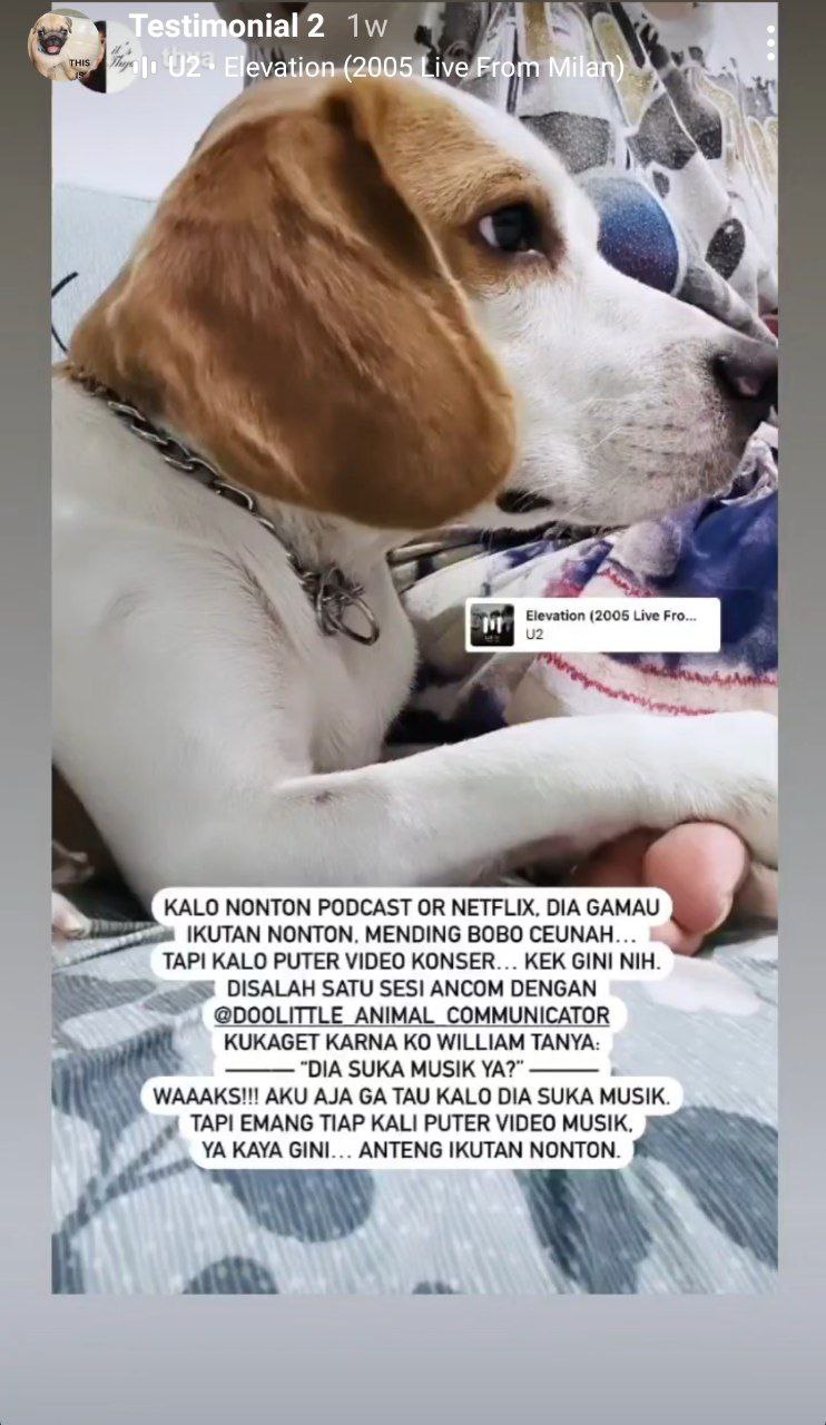 photo_6071229546604115076_y