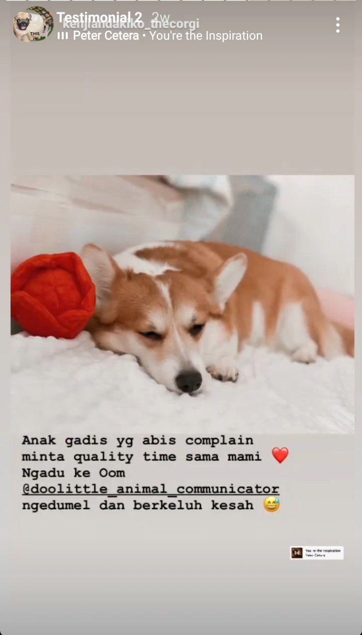 photo_6071229546604115077_y