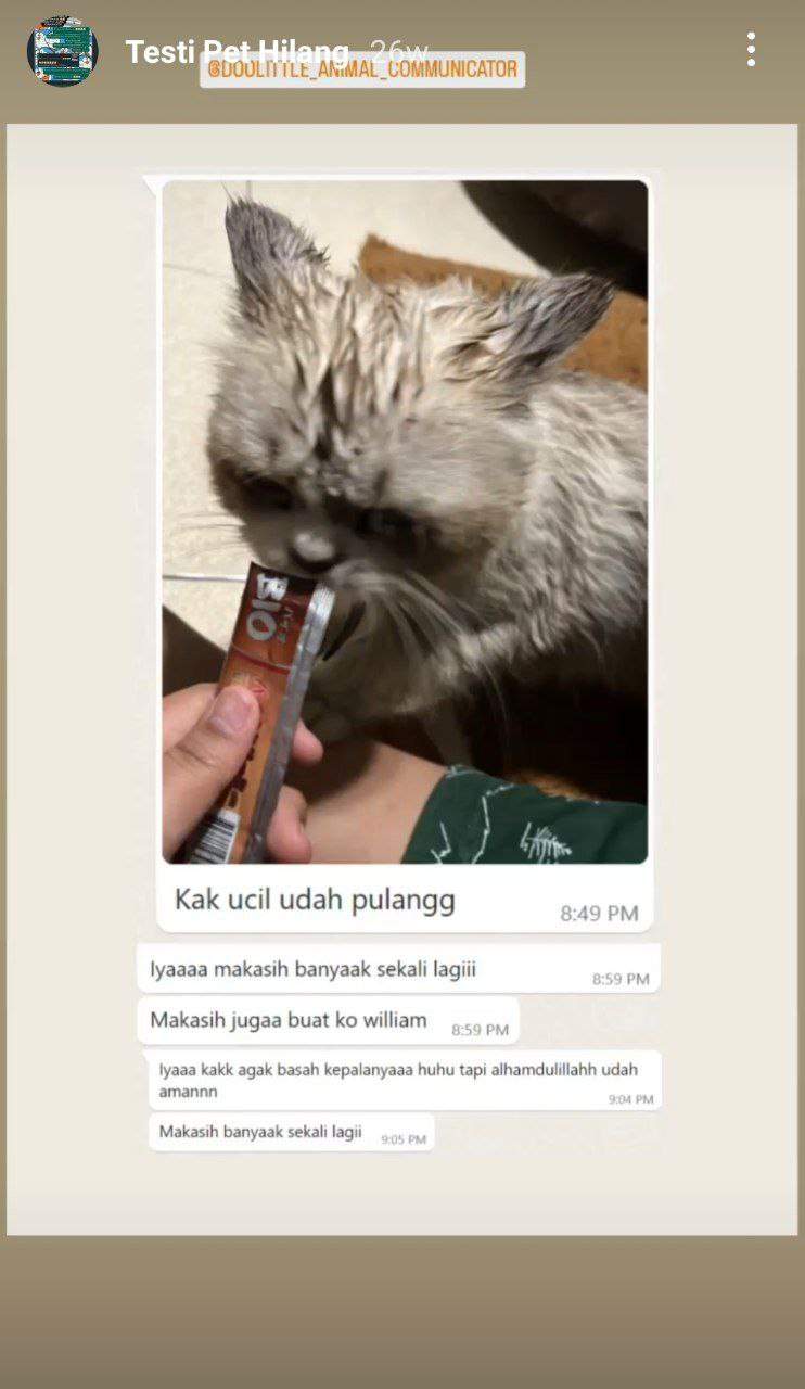 photo_6071229546604115079_y