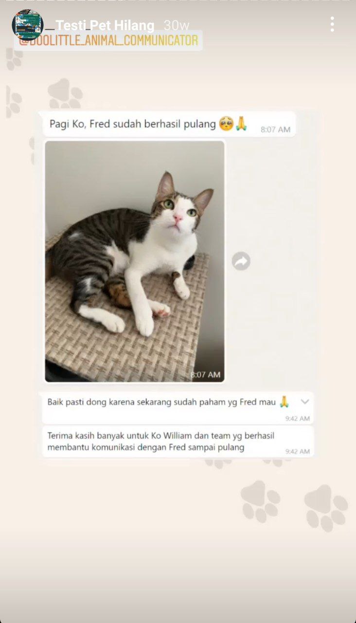 photo_6071229546604115080_y