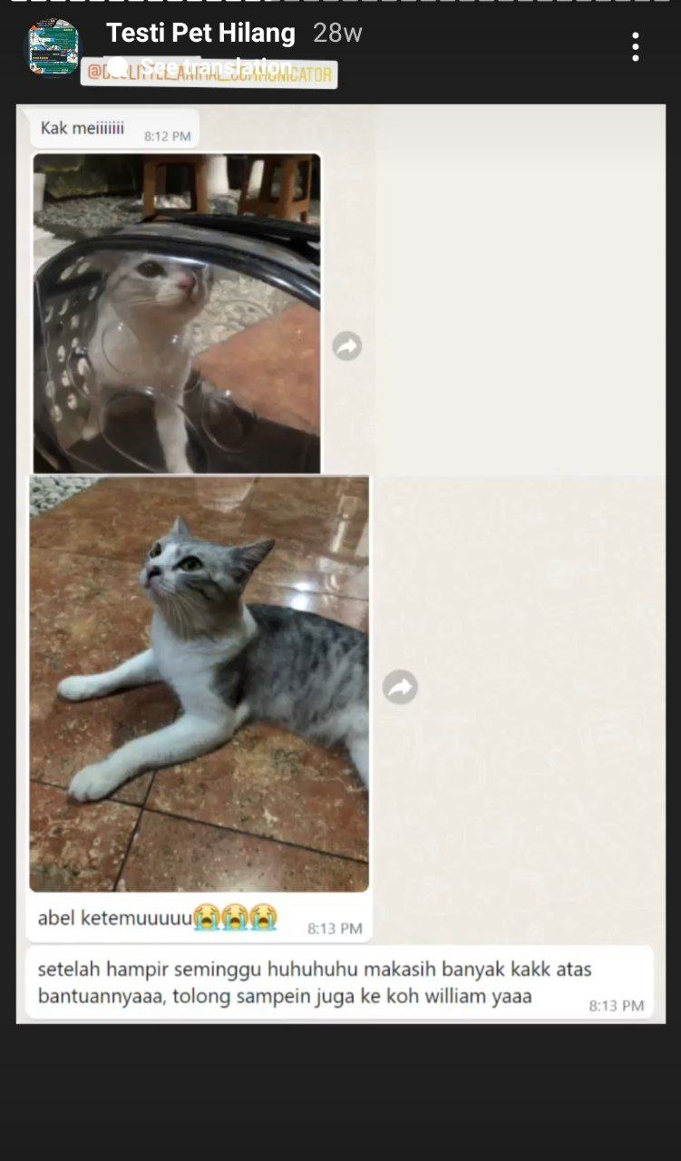 photo_6071229546604115081_y