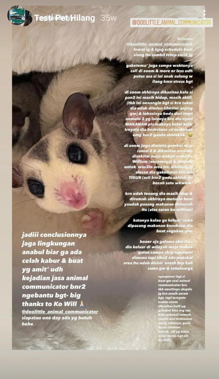 photo_6071229546604115082_y