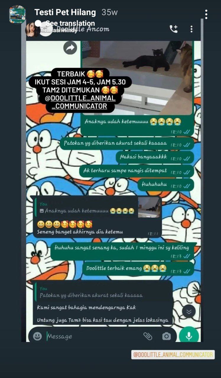 photo_6071229546604115083_y